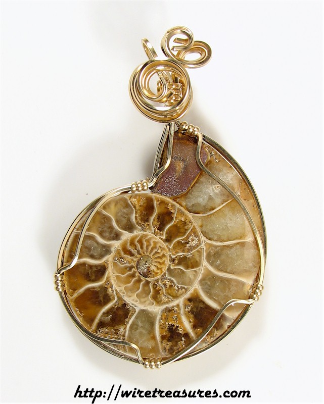 Ammonite Fossil Pendant
