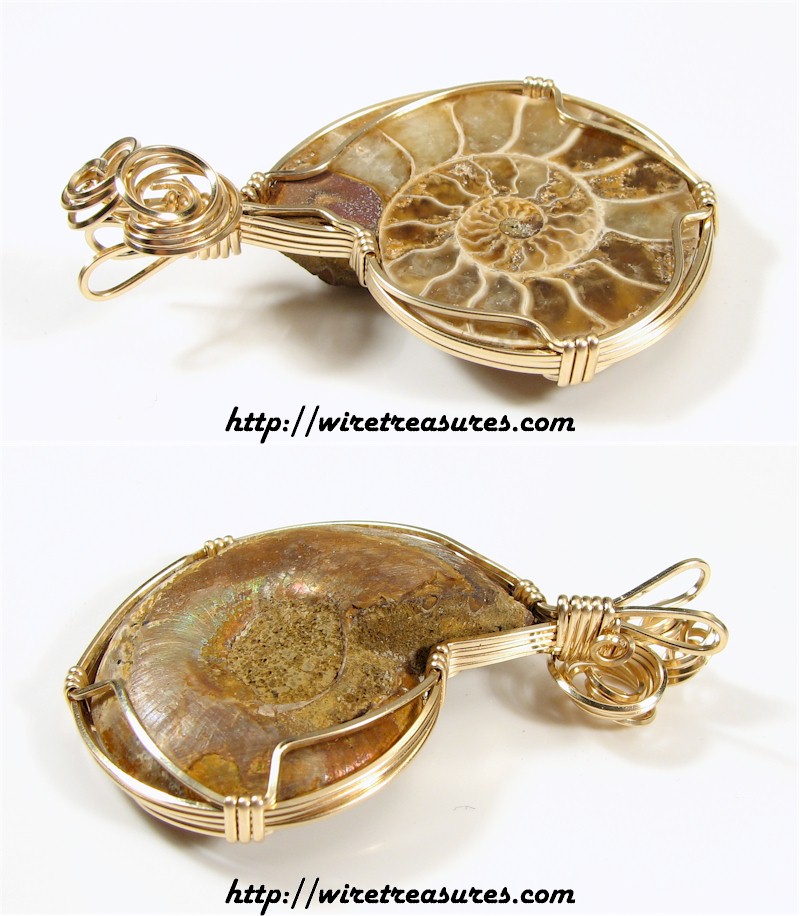 Ammonite Fossil Pendant