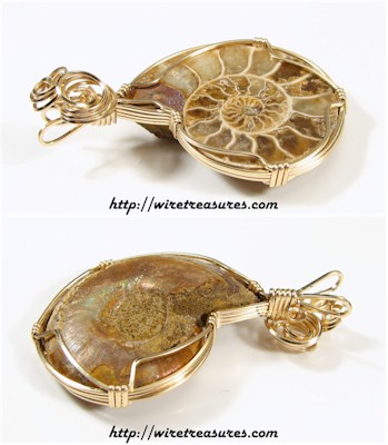 Ammonite Fossil Pendant