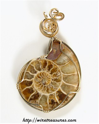 Ammonite Fossil Pendant