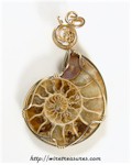 Ammonite Fossil Pendant