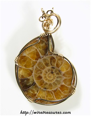 Ammonite Fossil Pendant