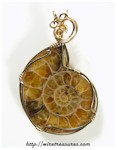 Ammonite Fossil Pendant