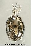 Turritella Jasper Pendant