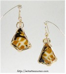 Peanut Wood Earrings
