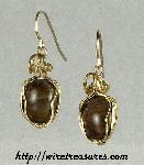 Petrified Wood Earrings