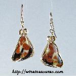 Peanut Wood Earrings