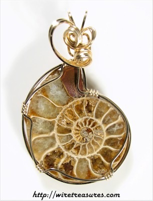 Ammonite Fossil Pendant