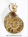 Ammonite Fossil Pendant