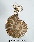 Ammonite Fossil Pendant