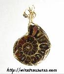 Ammonite Fossil Pendant