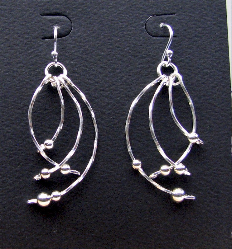 Wild & Crazy Earrigns