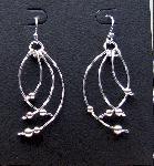 Wild & Crazy Earrigns