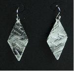 Plate Silver Earrings
