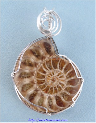 Ammonite Fossil Pendant