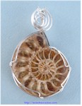 Ammonite Fossil Pendant