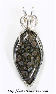 Dinosaur Bone Pendant