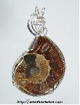 Ammonite Fossil Pendant