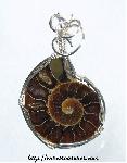 Ammonite Fossil Pendant