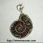 Ammonite Fossil Pendant
