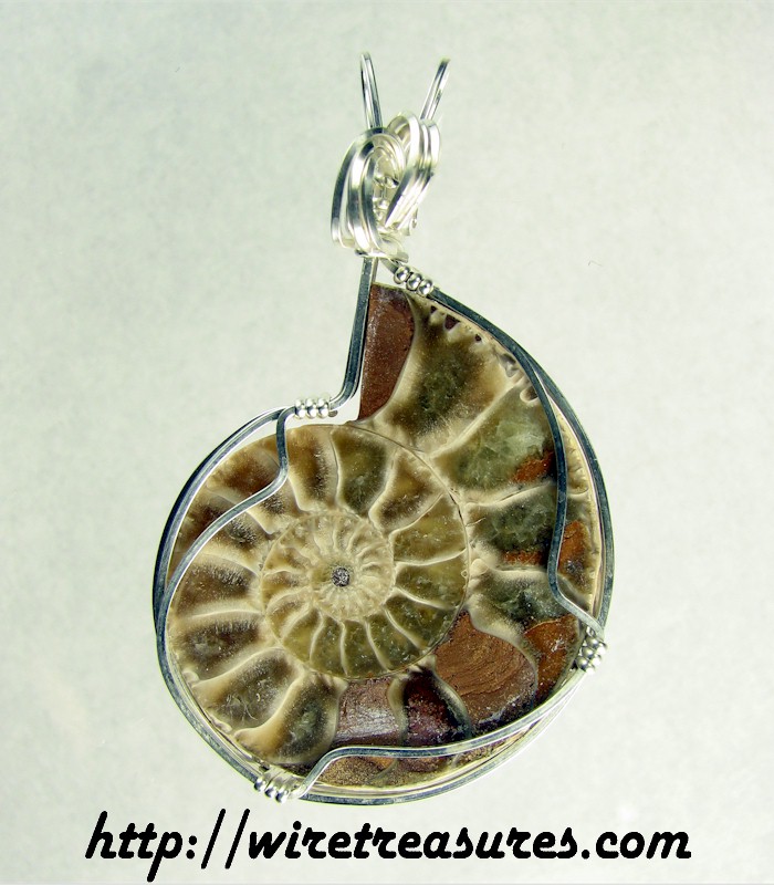 Ammonite Fossil Pendant