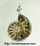 Ammonite Fossil Pendant